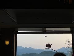-湖畔居茶楼(湖滨店)