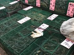 -荔城生鲜盛宴(番禺旗舰店)