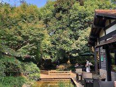-中国茶叶博物馆(双峰馆区)