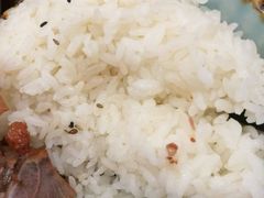 -犟骨头排骨饭(回龙观龙禧店)