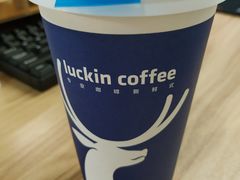 -瑞幸咖啡(广东外经贸大厦店)