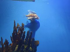 -海合安武汉极地海洋公园