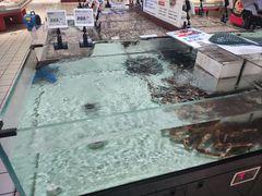 -大润发(张江店)