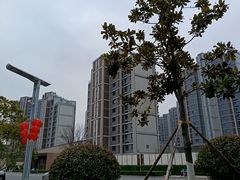 -皇粮浜湿地公园