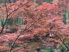 -唐城墙遗址公园