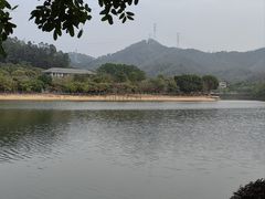 -凤岗南门山森林公园