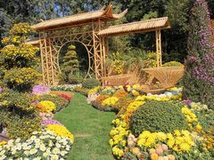 -上海共青森林公园