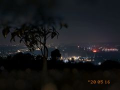 -铁山坪森林公园