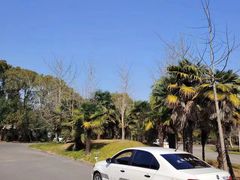 -胜华驾校·小猫学车(银都店)