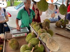 -阿龙榴莲摊