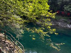 -石台牯牛降景区