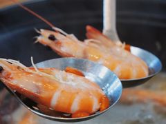 -濠轩阁特色生蚝火锅总店
