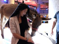 -北京三里屯CHAO酒店