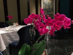 -Yan Ting 宴庭中餐厅(上海静安瑞吉酒店)