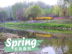 -东坝千亩湖公园