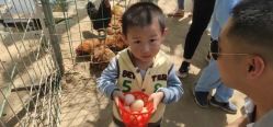 -上美四季动物农场