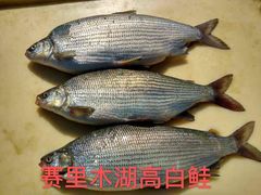 -渔公馆·川菜馆·家宴·生日宴(大地中央广场店)