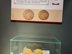 -合肥三国新城遗址公园