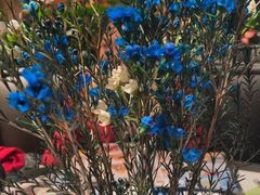 -半秋山西餐厅(巴南万达广场店)