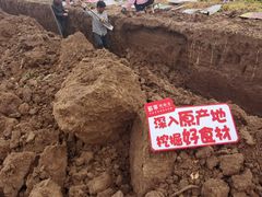 -解家河南菜(商鼎路店)