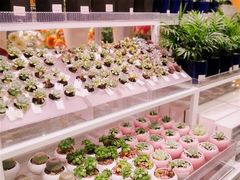 -KKV(重庆东原悦荟主力店)