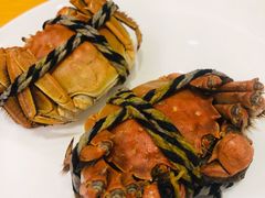 -上海西藏大厦万怡自助餐厅(徐汇店)
