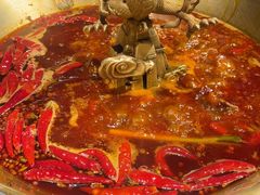 -小龙翻大江文化火锅(宽窄店)