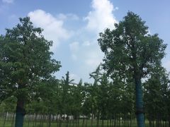 -巴奴毛肚火锅(六天地店)
