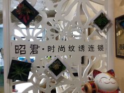 点击看大图 -西施无菌半永久纹绣眉眼影唇轻增发纹发际线
