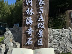 -汤旺河林海奇石景区