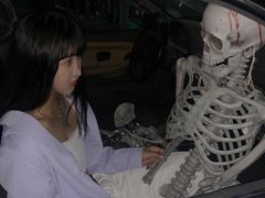 -巨鹏飞梦幻海岸