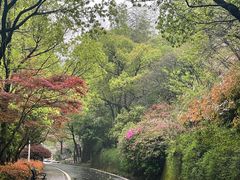-长谷洞天