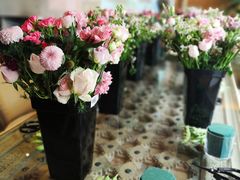 -悦哉·派对·草坪婚礼·围炉煮茶(三圣乡店)