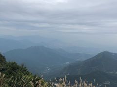 -梧桐山风景名胜区