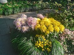 -杭州植物园