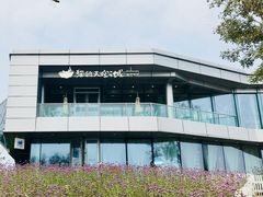 -猫的天空之城概念书店(北戴河蔚蓝海岸店)