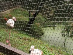 -沈阳森林动物园