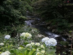 android_upload_pic-花溪风景区
