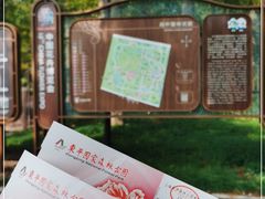 -东平国家森林公园