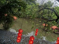 -侨美·唐荔园·40年地道粤菜