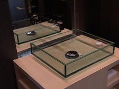-上海柏悦酒店