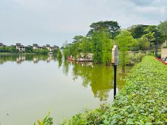 -美的鹭湖森林度假区