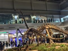 -自贡恐龙博物馆