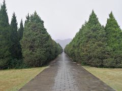 -秦始皇帝陵博物院-丽山园