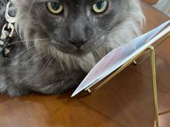 -瑞鹏宠物医院·普外科·影像科·皮肤科(城市山谷分院)