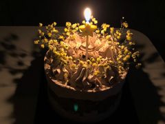 -小苍兰风铃草蛋糕甜品(沈阳店)