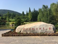 -习家池