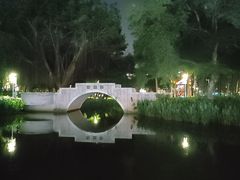 -金砂公园
