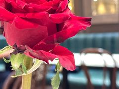 -关夫人餐厅(阳光广场店)