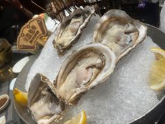 -半岛翡丽海鲜自助餐厅(观风亭店)